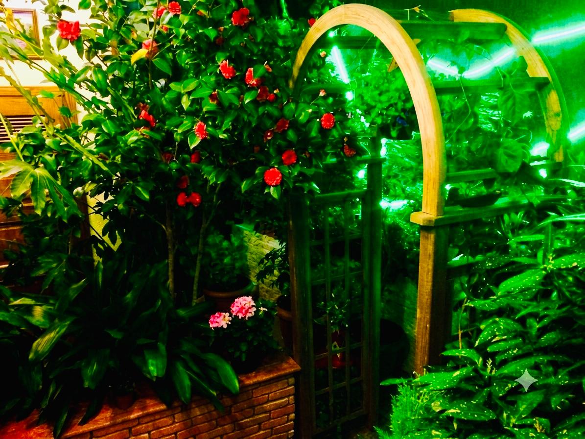 British House hotel in Tbilisi